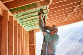 Best Insulation for New Construction  in Conesus Lake, NY